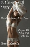 Flying High with Zoe (A Hypersexual Diary: The Adventures of Mr. Curvy, Chapter 127) (eBook, ePUB)