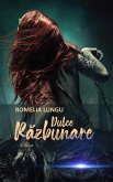 Dulce Razbunare (eBook, ePUB)