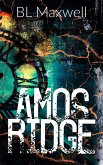 Amos Ridge (eBook, ePUB)