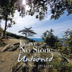 Leave No Stone Unturned (eBook, ePUB)