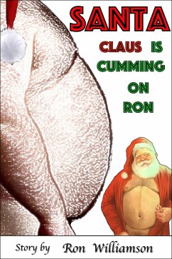 Cover Santa (Adventures of a Chubby Chaser, #12) (eBook, ePUB)