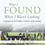 What I Found When I Wasn't Looking (eBook, ePUB)