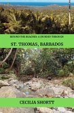 Beyond the Beaches A Journey Through St Thomas (eBook, ePUB) Beyond the Beaches A Journey Through St Thomas (eBook, ePUB)