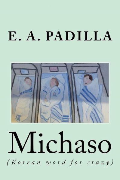 Michaso (eBook, ePUB)