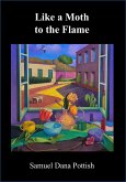 Like a Moth to the Flame (eBook, ePUB)