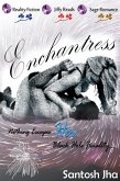 Enchantress (eBook, ePUB) Enchantress (eBook, ePUB)