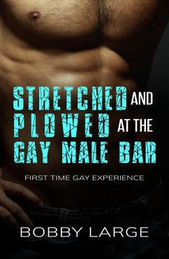 Cover Stretched and Plowed at the Gay Male Bar - First Time Gay Experience (eBook, ePUB)