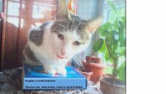 Cover Despre sex, dominare, copii si agresivitate (eBook, ePUB)