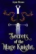 Secrets of the Mage Knight (eBook, ePUB) - Bild 1