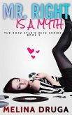 Mr. Right is a Myth (The Rock Star's Wife, #2) (eBook, ePUB)
