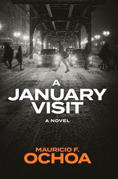 Cover A January Visit (eBook, ePUB)