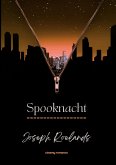 Spooknacht (Nachtdienst, #1) (eBook, ePUB)