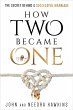 How Two Became One (eBook, ePUB) - Bild 1