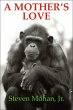A Mother's Love (eBook, ePUB) - Bild 1