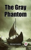 Gray Phantom (eBook, ePUB)