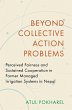 Beyond Collective Action Problems... - Bild 1