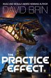 The Practice Effect (eBook, ePUB) - Bild 1