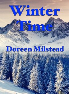 Cover Winter Time (eBook, ePUB)