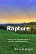 Rapture (eBook, ePUB) - Bild 1