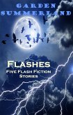 Flashes: Five Flash Fiction Stories (eBook, ePUB) Flashes: Five Flash Fiction Stories (eBook, ePUB)