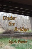 Under the Bridge (eBook, ePUB) Under the Bridge (eBook, ePUB)