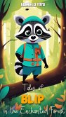 Tales of Blip the Raccoon in the Enchanted Forest (Silly Raccoon, #1) (eBook, ePUB)