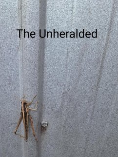 Cover The Unheralded (eBook, ePUB)