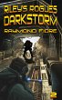 Riley's Rogues: Darkstorm (eBook, ePUB) - Bild 1