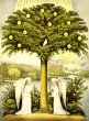 Trees of Life: A Visual History of... - Bild 1