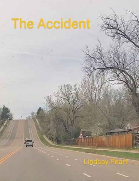 The Accident (eBook, ePUB)
