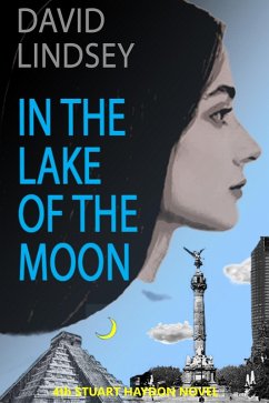 Cover In the Lake of the Moon (Stuart Haydon Series, #4) (eBook, ePUB)