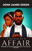 Forbidden Affair (eBook, ePUB)