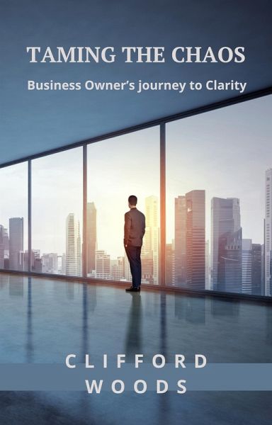 Taming The Chaos: Business Owner's Journey to Clarity (eBook, ePUB)