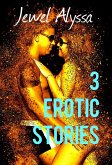 3 Erotic Stories (eBook, ePUB)