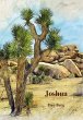 Joshua (eBook, ePUB) - Bild 1