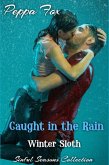 Caught In The Rain: Winter Sloth (Sinful Seasons) (eBook, ePUB)