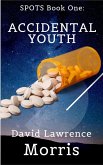 SPOTS Book One: Accidental Youth (eBook, ePUB) SPOTS Book One: Accidental Youth (eBook, ePUB)