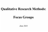 Qualitative Research Methods: Focus Groups, June 2024 (eBook, ePUB)