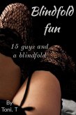 Blindfold Fun (eBook, ePUB)