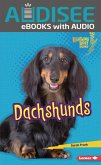 Dachshunds (eBook, ePUB) Dachshunds (eBook, ePUB)