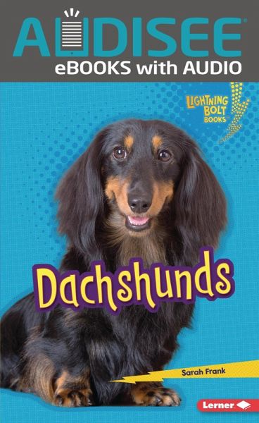 Dachshunds (eBook, ePUB)