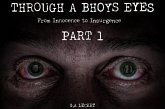 Through a Bhoys Eyes Part 1 (eBook, ePUB)