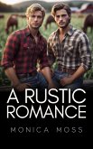 A Rustic Romance (The Chance Encounters Series, #85) (eBook, ePUB)