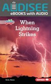 When Lightning Strikes (eBook, ePUB)