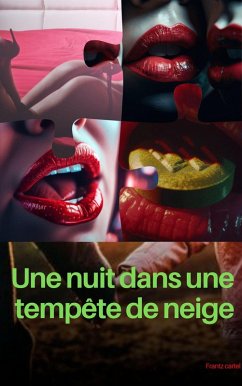 Une nuit dans une tempête de neige (eBook, ePUB) - Cartel, Frantz