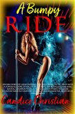 A Bumpy Ride (eBook, ePUB) A Bumpy Ride (eBook, ePUB)