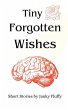 Tiny Forgotten Wishes (eBook, ePUB) - Bild 1