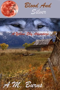 Cover Blood and Silver (eBook, ePUB)