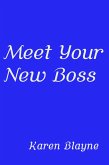 Meet Your New Boss (eBook, ePUB) Meet Your New Boss (eBook, ePUB)