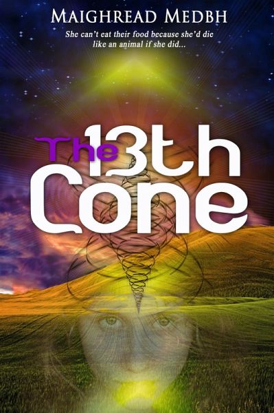 The 13th Cone (eBook, ePUB) The 13th Cone (eBook, ePUB)